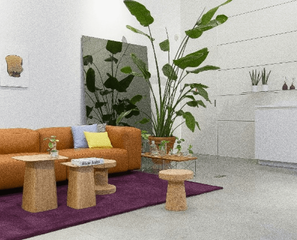 BK8 Casino Review 2026 – Is BK8 Legit?